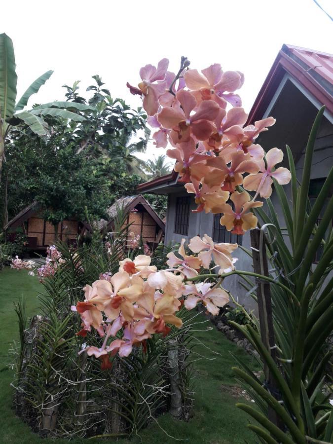 Lhoyjean Garden Hostel Batuan ภายนอก รูปภาพ