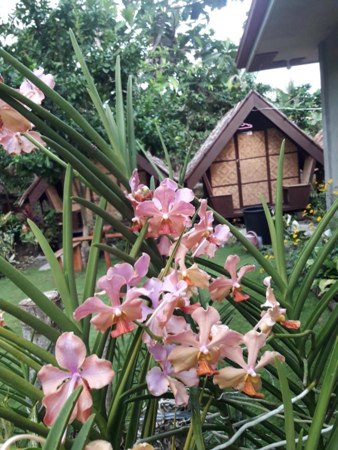 Lhoyjean Garden Hostel Batuan ภายนอก รูปภาพ